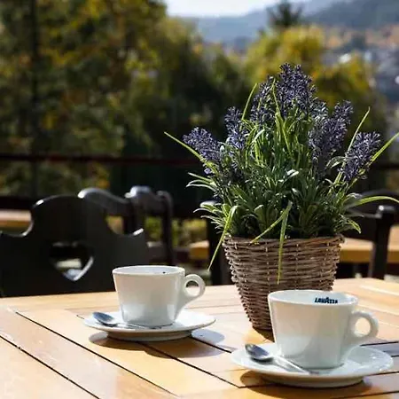 Devin Spa Hotel 4* Devin