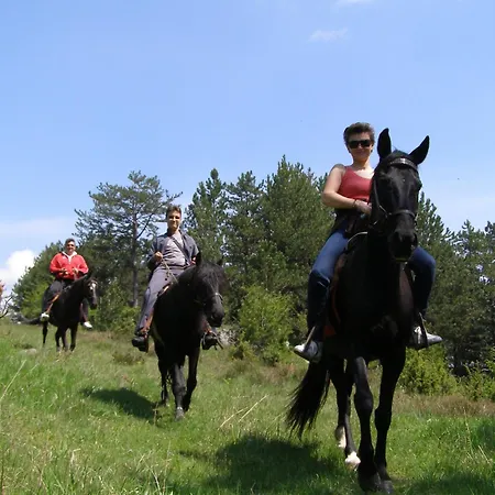 Hotel Devin Spa Hotel