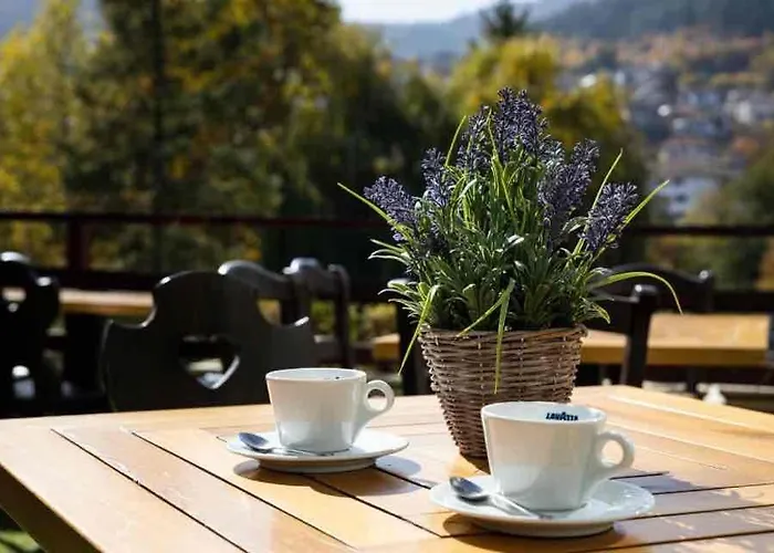 Devin Spa Hotel 4* Dövlen