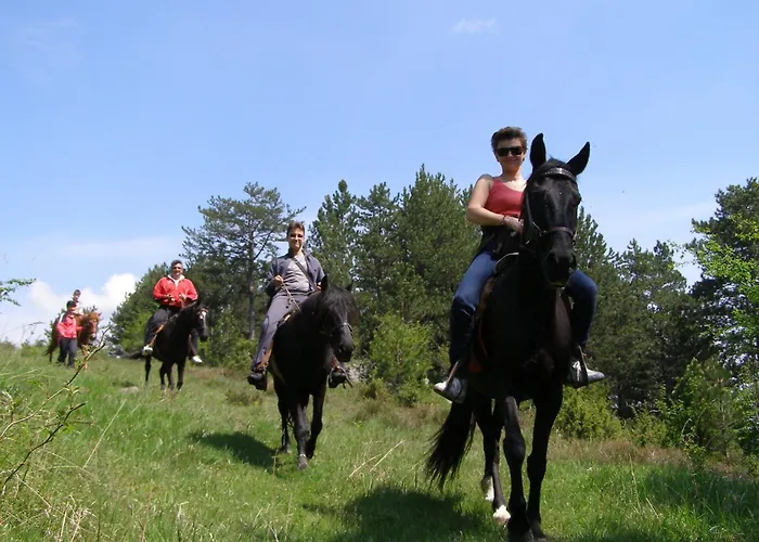 Otel Devin Spa Hotel