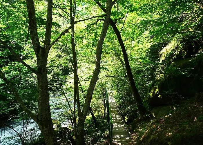 Hotel Devin Spa Hotel Devin