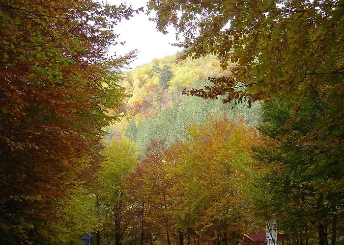 Otel Devin Spa Hotel Dövlen