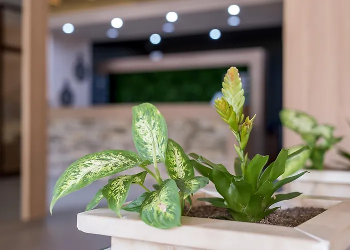 Hotel Devin Spa Hotel 4*